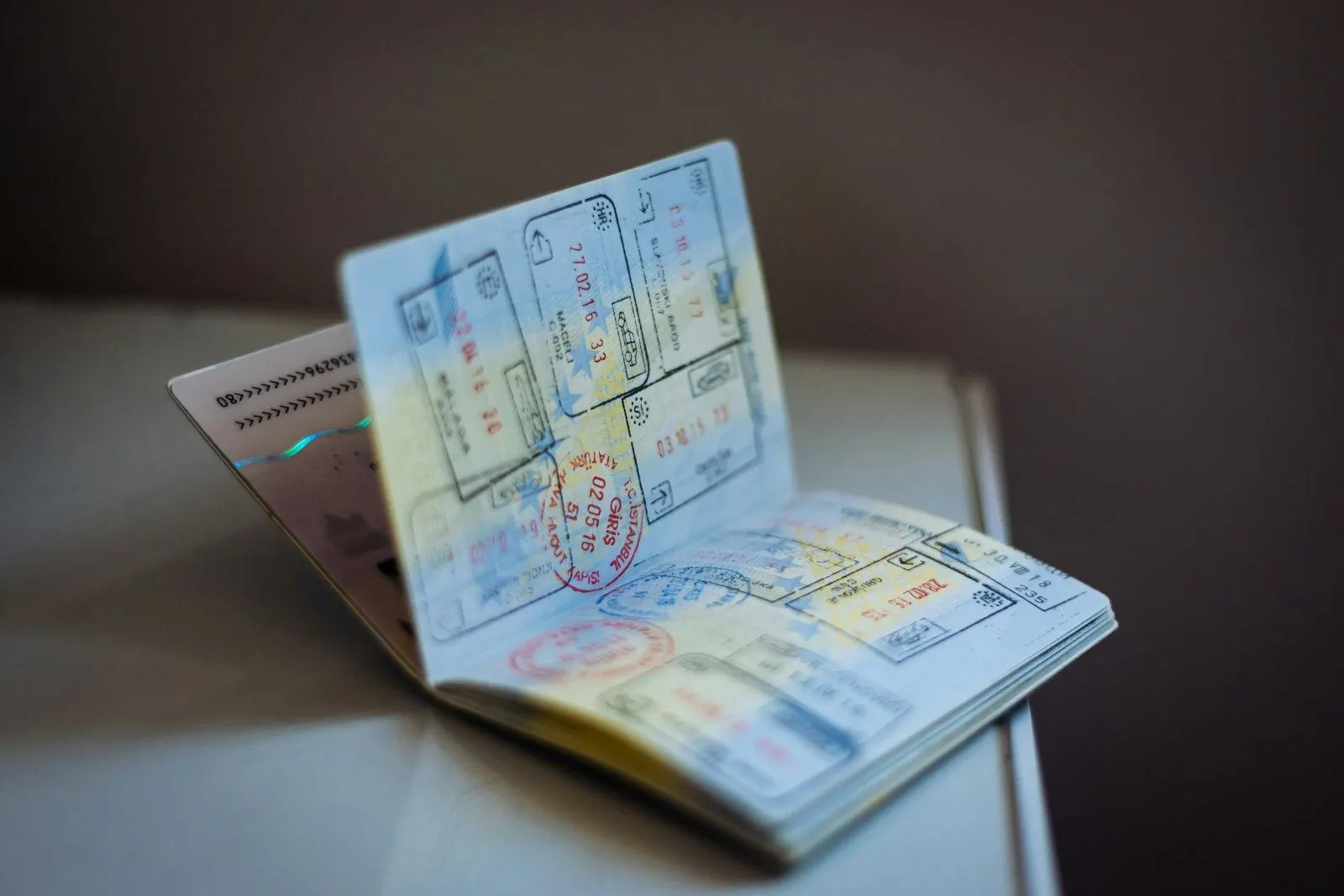 EU Blue Card or highly qualified professional route: which fits your employee?